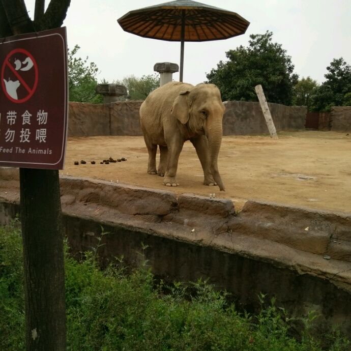 小7手游用户头像