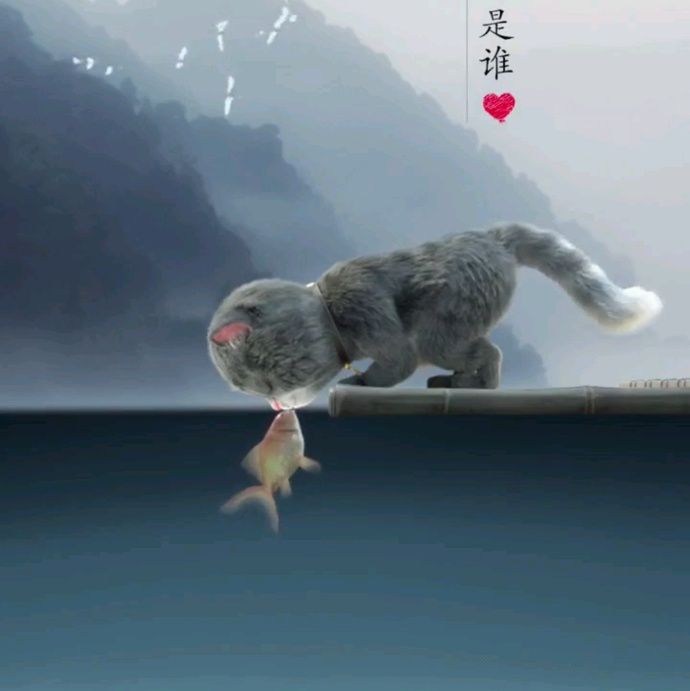 小7手游用户头像